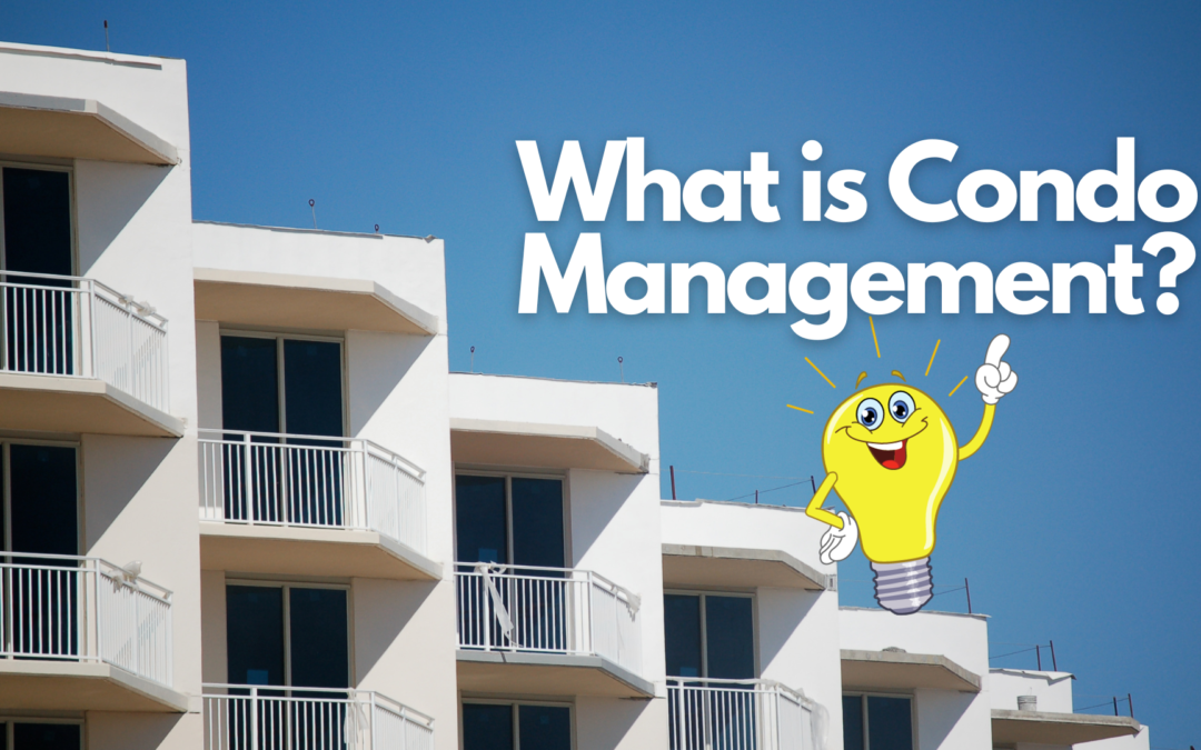 Navigating the Heights of Condo Living: The Essence and Importance of Condo Management